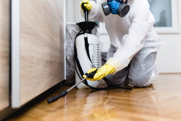 Best Mosquito Control Services  in Pike Road, AL